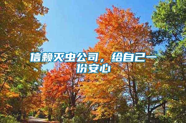 信賴滅蟲公司,給自己一份安心