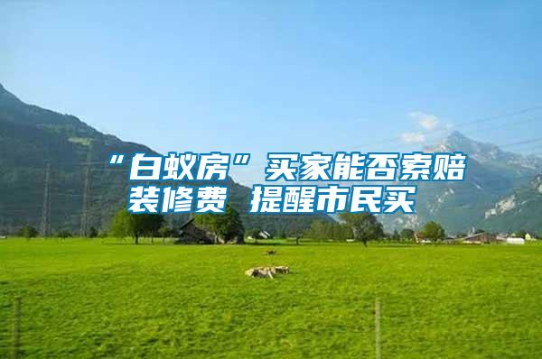 “白蟻房”買(mǎi)家能否索賠裝修費(fèi) 提醒市民買(mǎi)