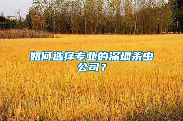 如何選擇專業的深圳殺蟲公司？