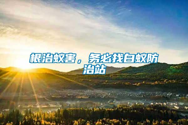 根治蟻害，務必找白蟻防治站
