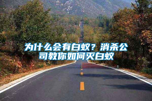為什么會有白蟻？消殺公司教你如何滅白蟻