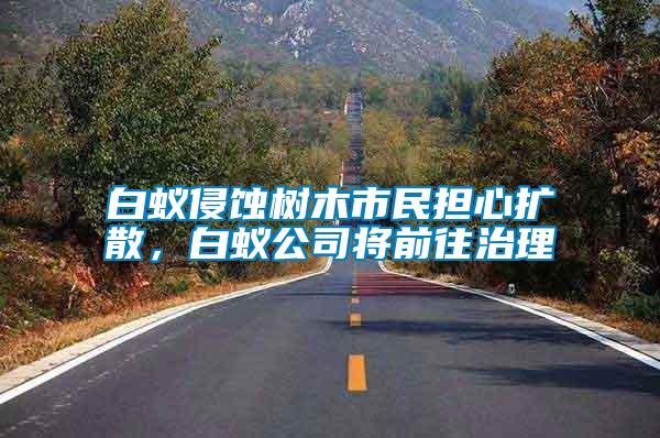 白蟻侵蝕樹(shù)木市民擔(dān)心擴(kuò)散，白蟻公司將前往治理
