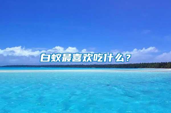 白蟻?zhàn)钕矚g吃什么？