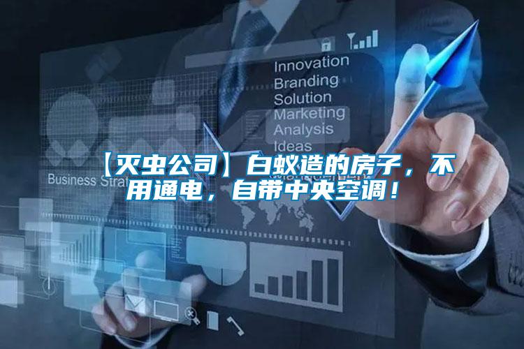 【滅蟲公司】白蟻造的房子，不用通電，自帶中央空調！