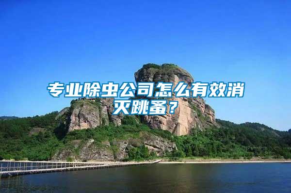 專業除蟲公司怎么有效消滅跳蚤？