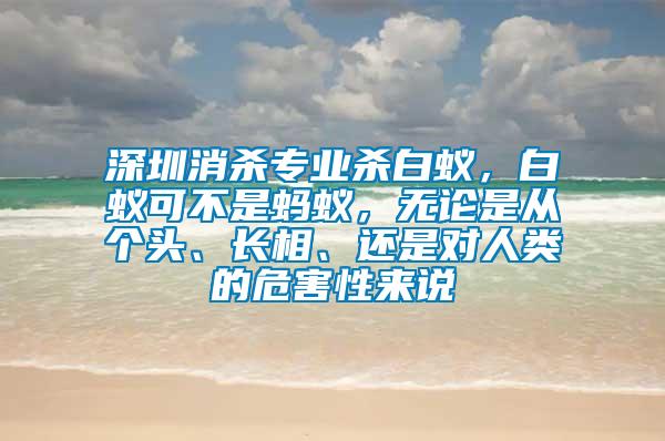 深圳消殺專業殺白蟻，白蟻可不是螞蟻，無論是從個頭、長相、還是對人類的危害性來說