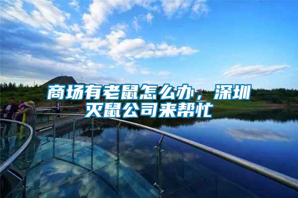 商場(chǎng)有老鼠怎么辦，深圳滅鼠公司來幫忙