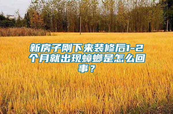 新房子剛下來裝修后1-2個月就出現蟑螂是怎么回事？