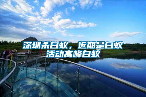 深圳殺白蟻，近期是白蟻活動高峰白蟻