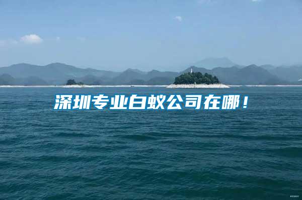 深圳專業白蟻公司在哪！