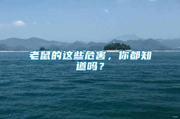 老鼠的這些危害，你都知道嗎？