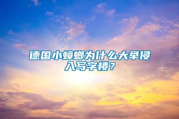 德國小蟑螂為什么大舉侵入寫字樓？