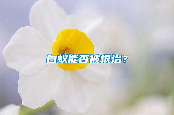 白蟻能否被根治？