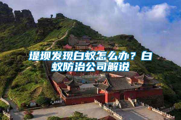 堤壩發現白蟻怎么辦？白蟻防治公司解說