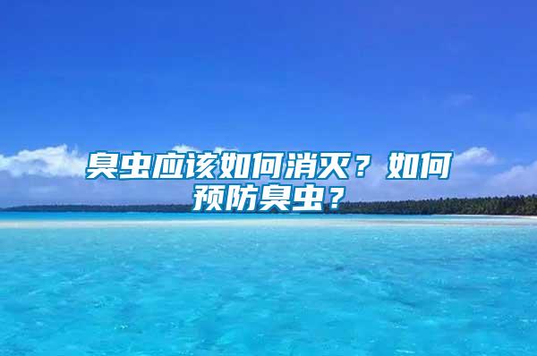 臭蟲應該如何消滅？如何預防臭蟲？