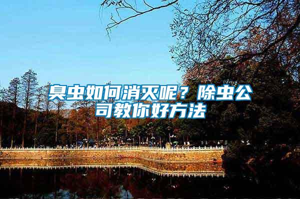 臭蟲如何消滅呢？除蟲公司教你好方法