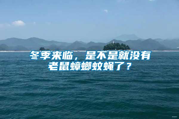 冬季來臨，是不是就沒有老鼠蟑螂蚊蠅了？