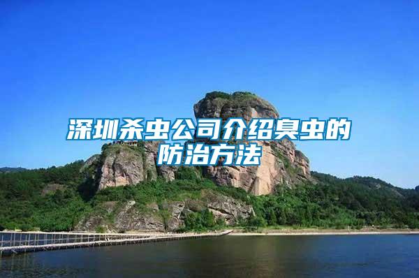 深圳殺蟲(chóng)公司介紹臭蟲(chóng)的防治方法