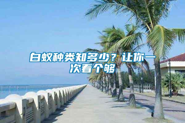 白蟻種類知多少？讓你一次看個(gè)夠