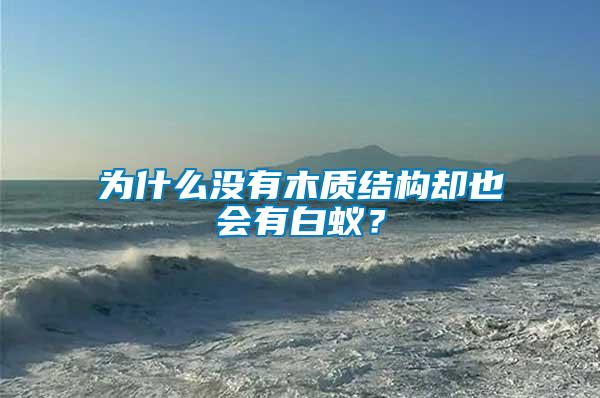 為什么沒有木質結構卻也會有白蟻？