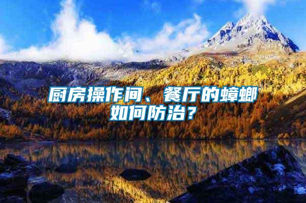 廚房操作間、餐廳的蟑螂如何防治?
