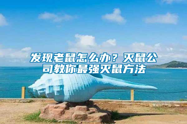 發現老鼠怎么辦？滅鼠公司教你最強滅鼠方法