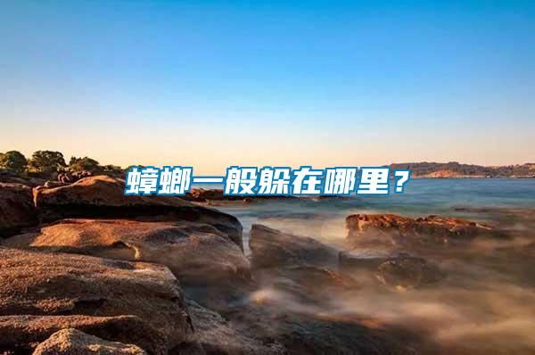 蟑螂一般躲在哪里？