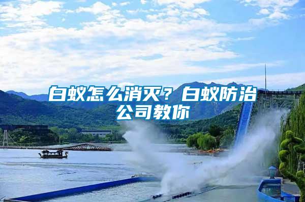 白蟻怎么消滅？白蟻防治公司教你