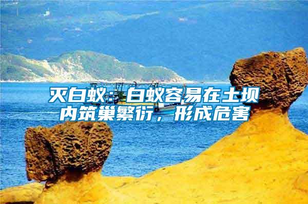 滅白蟻：白蟻容易在土壩內筑巢繁衍，形成危害
