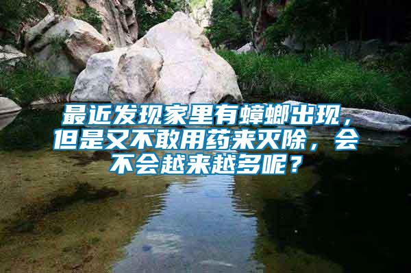 最近發(fā)現(xiàn)家里有蟑螂出現(xiàn)，但是又不敢用藥來(lái)滅除，會(huì)不會(huì)越來(lái)越多呢？