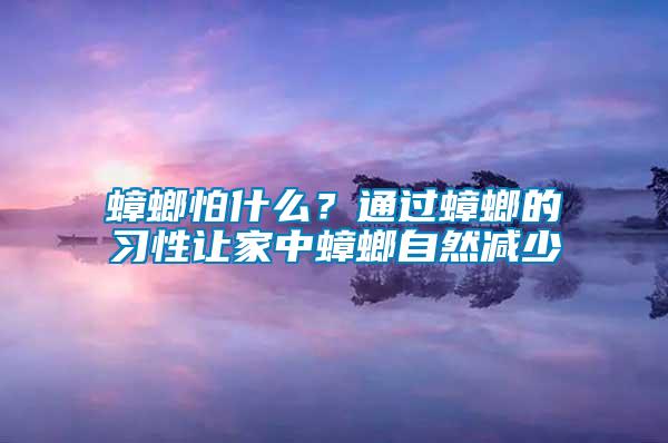 蟑螂怕什么？通過蟑螂的習(xí)性讓家中蟑螂自然減少
