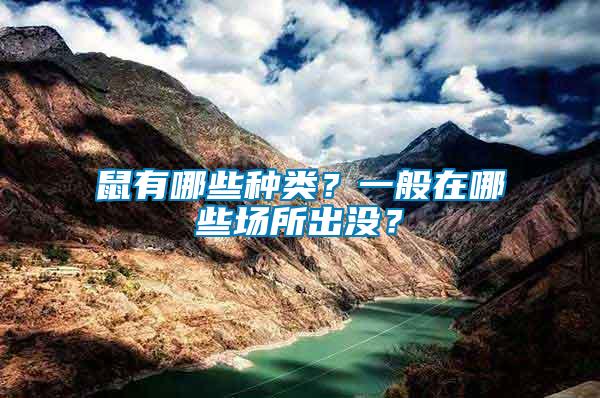 鼠有哪些種類？一般在哪些場所出沒？