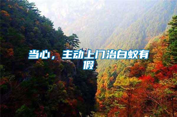 當心，主動上門治白蟻有假
