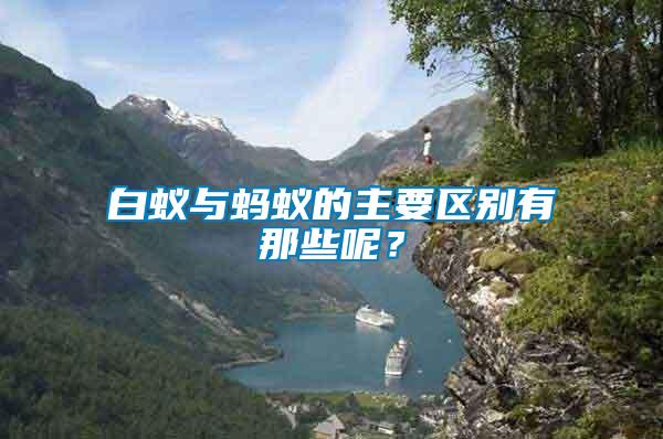 白蟻與螞蟻的主要區別有那些呢？