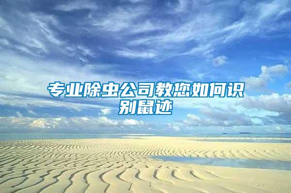 專業(yè)除蟲(chóng)公司教您如何識(shí)別鼠跡