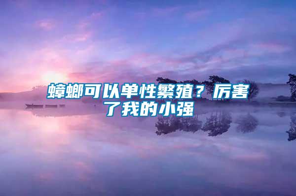 蟑螂可以單性繁殖？厲害了我的小強