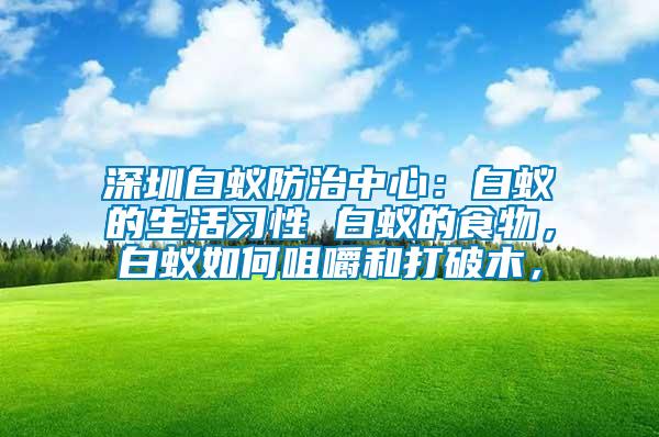 深圳白蟻防治中心：白蟻的生活習性 白蟻的食物，白蟻如何咀嚼和打破木，