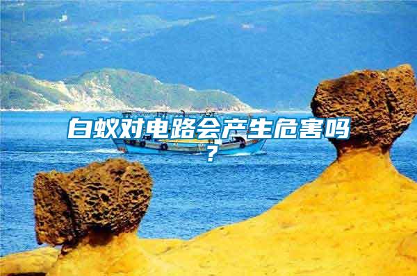 白蟻對電路會產生危害嗎？