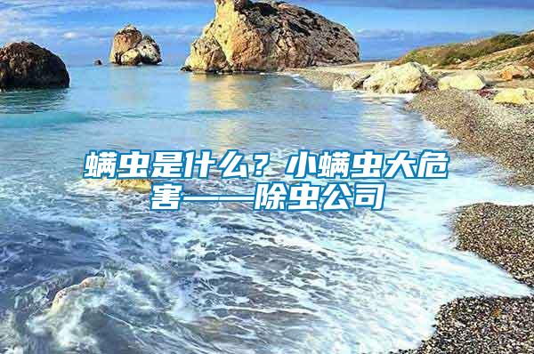 螨蟲是什么？小螨蟲大危害——除蟲公司