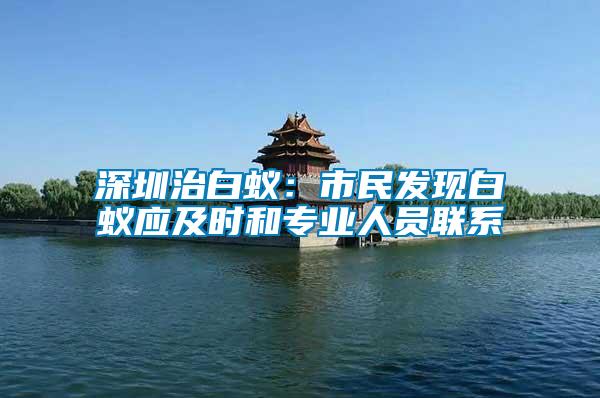 深圳治白蟻：市民發現白蟻應及時和專業人員聯系