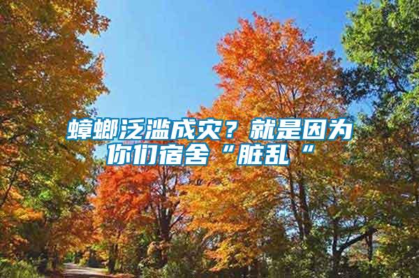 蟑螂泛濫成災(zāi)？就是因為你們宿舍“臟亂“