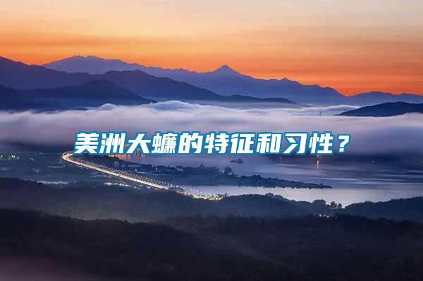 美洲大蠊的特征和習性？