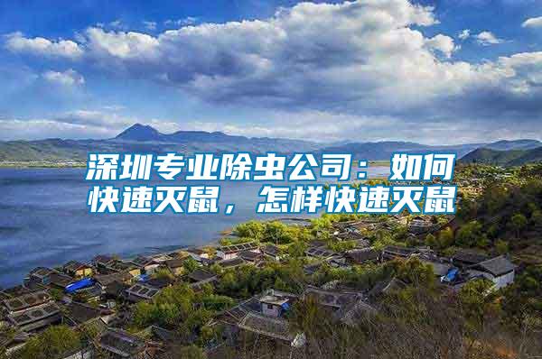 深圳專業除蟲公司：如何快速滅鼠，怎樣快速滅鼠
