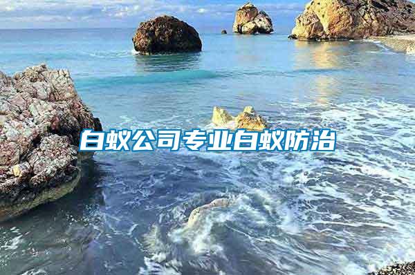 白蟻公司專業白蟻防治