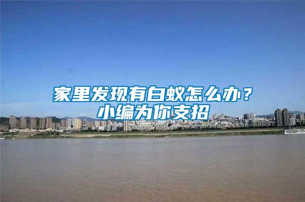 家里發(fā)現(xiàn)有白蟻怎么辦？小編為你支招