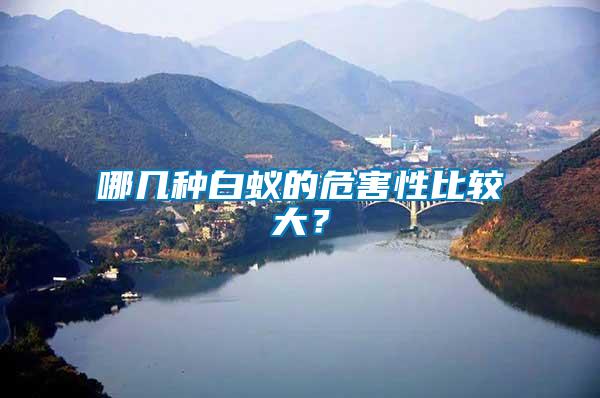 哪幾種白蟻的危害性比較大？