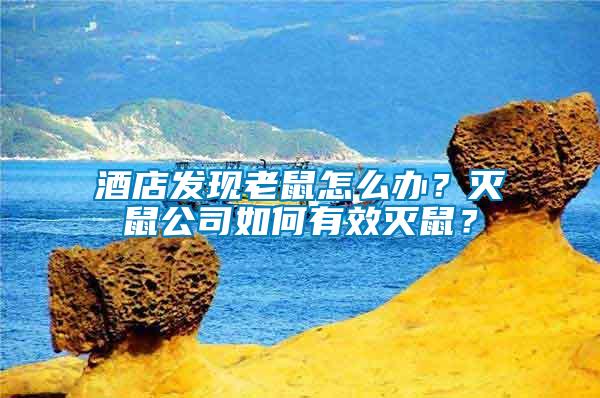 酒店發(fā)現(xiàn)老鼠怎么辦？滅鼠公司如何有效滅鼠？