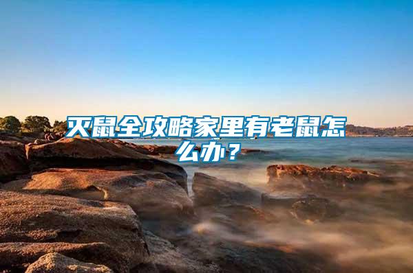 滅鼠全攻略家里有老鼠怎么辦？