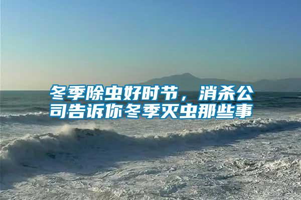 冬季除蟲好時節(jié)，消殺公司告訴你冬季滅蟲那些事