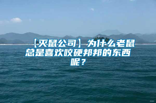 【滅鼠公司】為什么老鼠總是喜歡咬硬邦邦的東西呢？